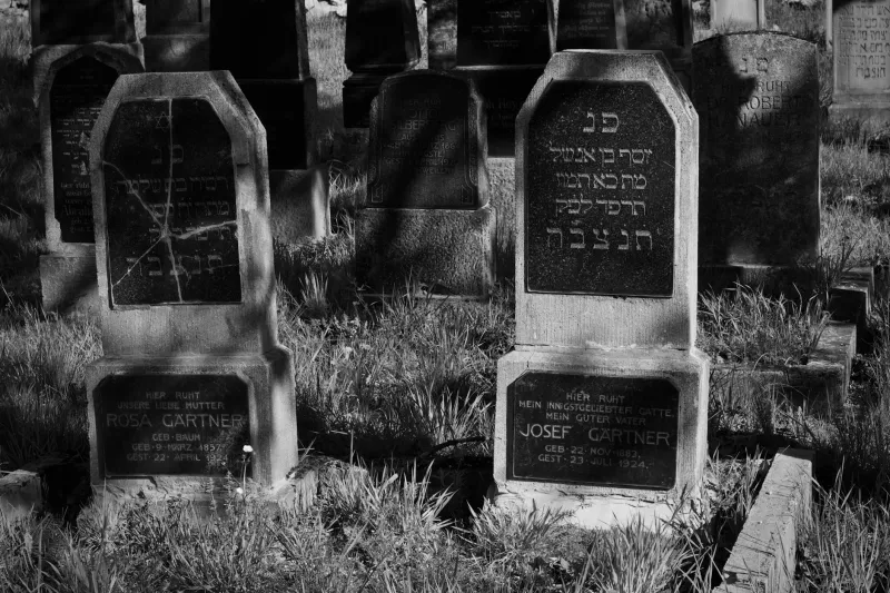 When Death Became the Teacher: The Cemetery Worker Who Rewrote Forensic Science