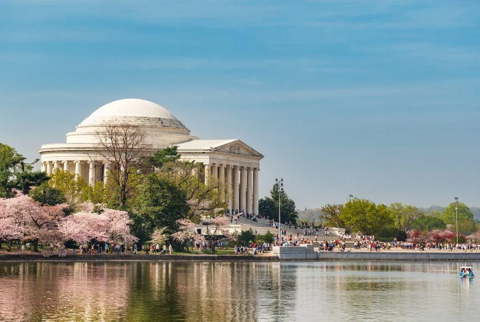 Washington D.C.