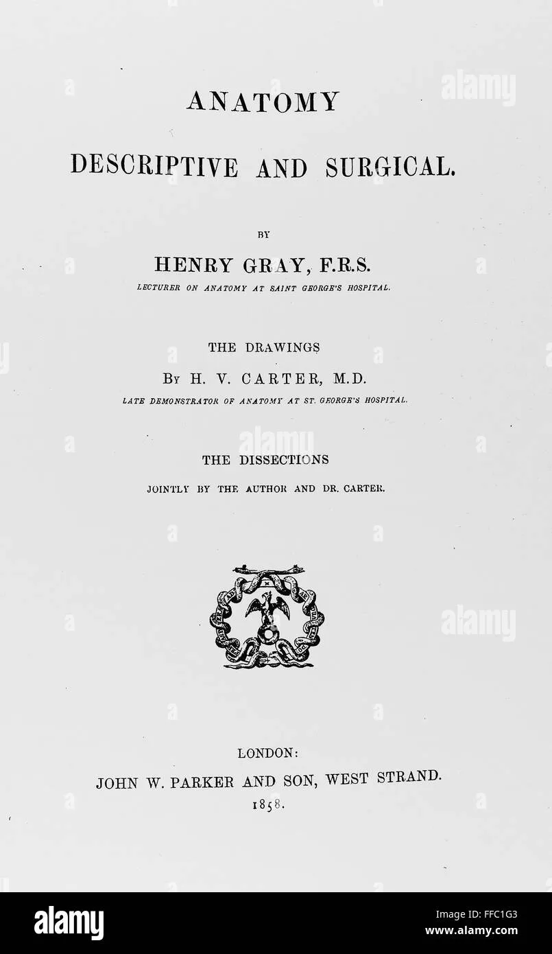 Henry Gray
