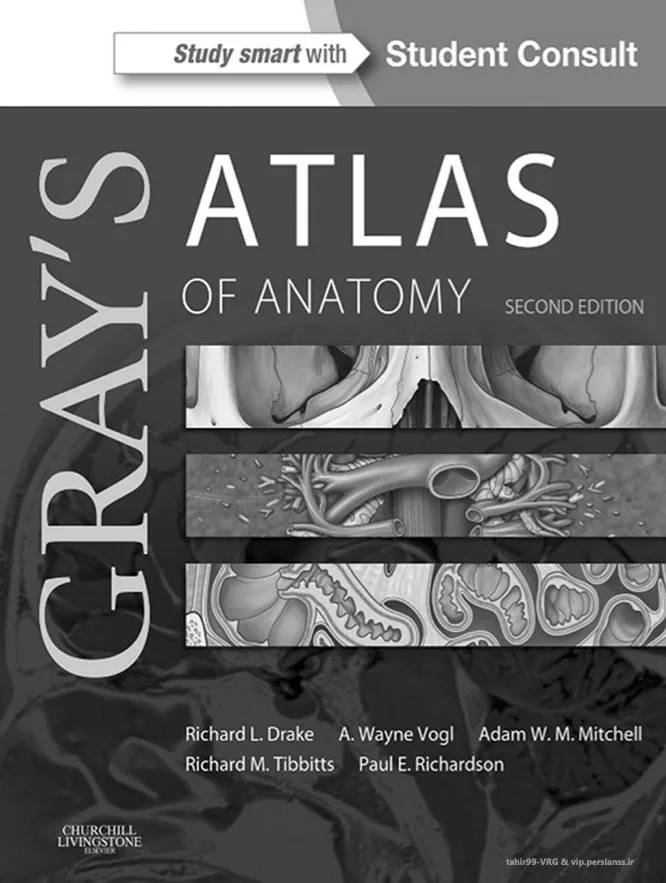 Gray's Anatomy